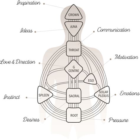 Generator With Defined Spleen