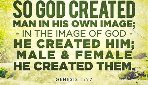Genesis 1 27 31 Meaning PPT Made In His Image 263 PowerPoint
