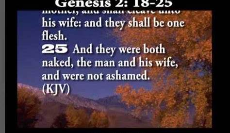 Genesis 2 18 25 Kjv Pin On Bible
