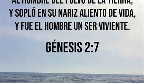 Genesis 2 verse 78 YouTube