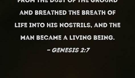 Genesis 2 Verse 7 In Hebrew s 3 King James Version 00 Scripture Images