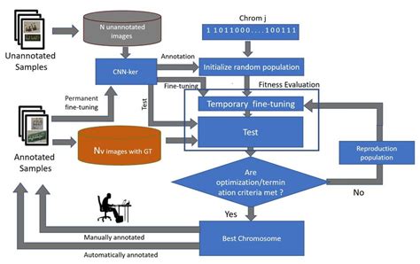 genetic algorithm vs reinforcement learning