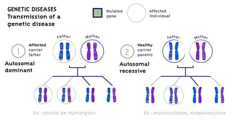 genetic disorders chromosomes