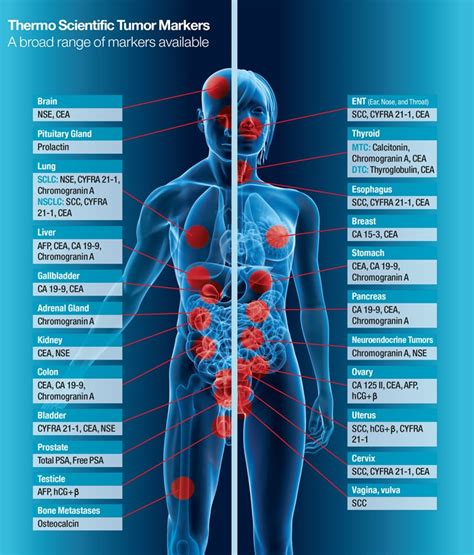 genetic markers for cancer