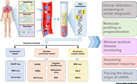 genetic testing in ct