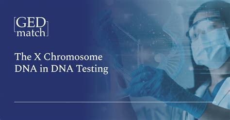 Genetic Testing X Chromosome