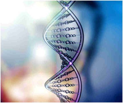 Genetics and Hormones