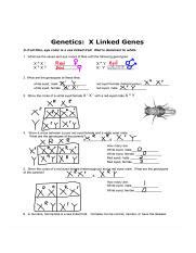 Genetics Linkage Problems And Answers