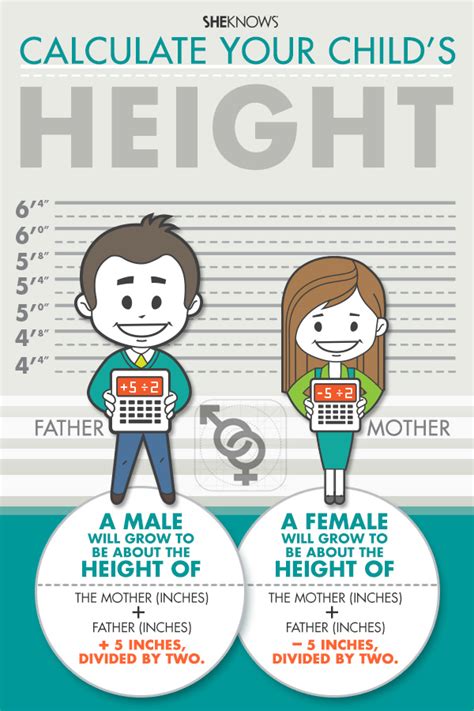 genetics maximum height calculator