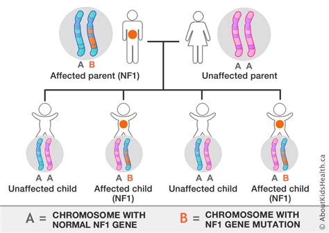 Decoding The Genetics Of Nf1: What Researchers Know Now