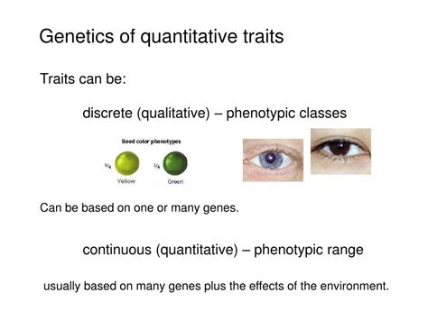 Understanding The Genetics Of Quantitative Traits In Agriculture