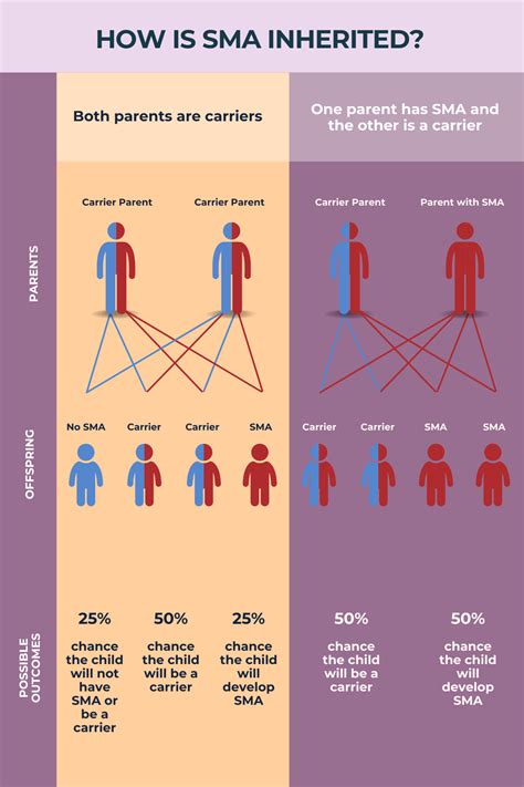 Understanding The Genetics Of Sma For Better Family Planning