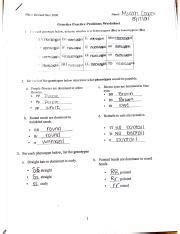 genetics practice problems worksheet bio 1 revised nov 2008