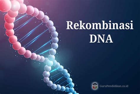 Kromosom Gen dan DNA: Hubungan yang Penting dalam Kehidupan