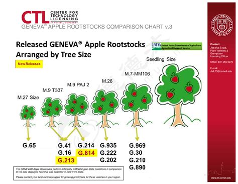 geneva 969 apple rootstock