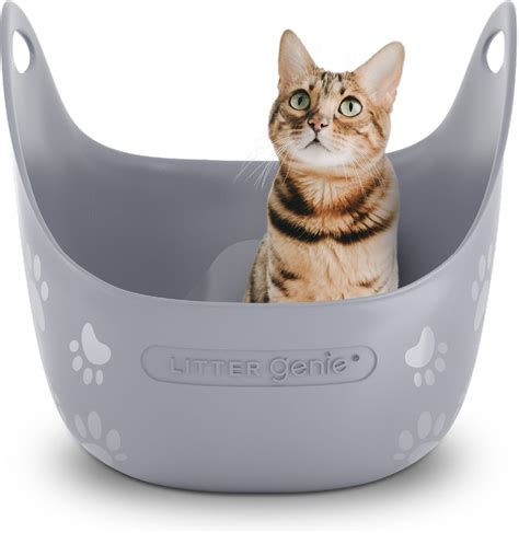 genie cat litter box