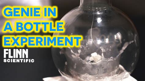 genie in a bottle experiment