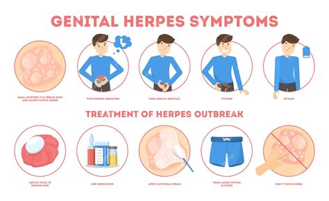 genital herpes and uti
