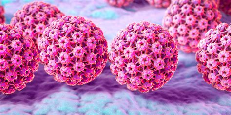 genital warts caused by hpv