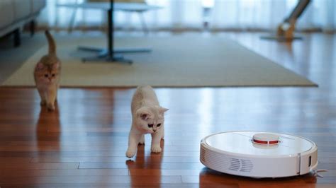 Are robot vacuums worth it? Here's what you need to know Tom's Guide