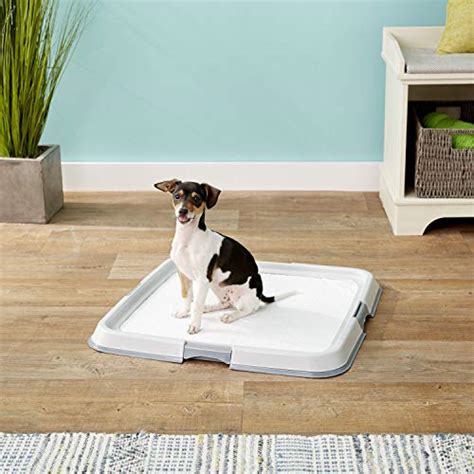 genius litter pee pads for dogs