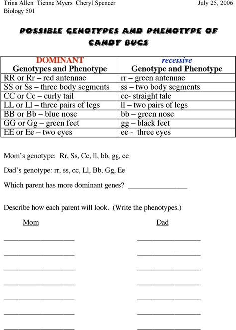 genotypes and phenotypes worksheet pdf