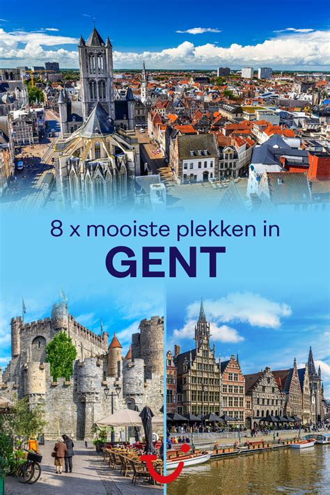 gent 8