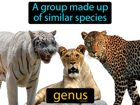 genus definition science