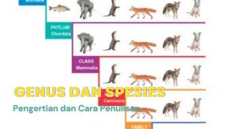 Pin on Rocks,plants,weather,and the worst