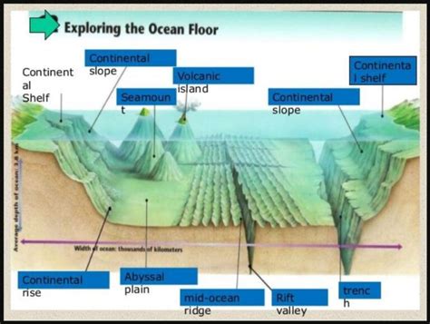geographic feature on ocean floor