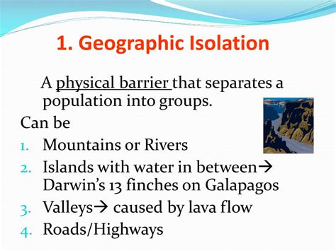 Geographic Isolation Examples Brainly
