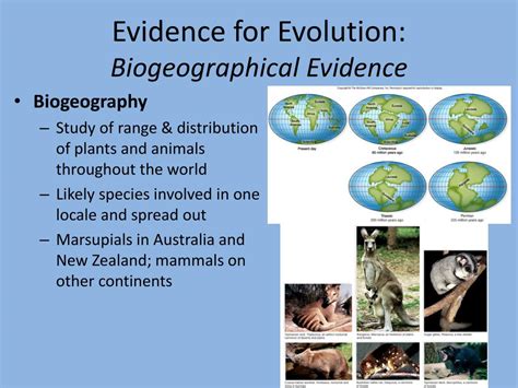 Geographical Evidence Of Evolution