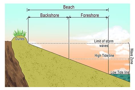 Geography Definition Beach