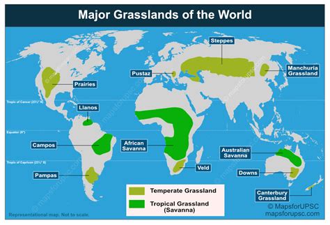 Geography Of Temperate Grasslands