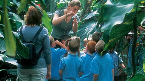 Geography School Trips