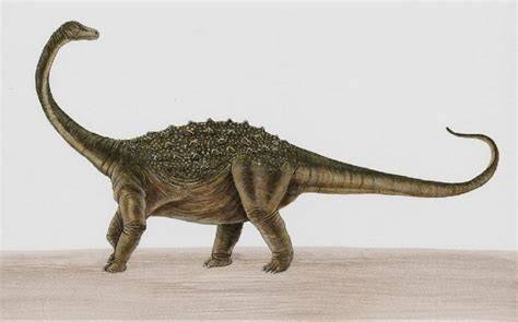 Geological Context of Saltasaurus
