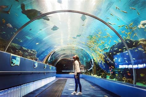 georgia aquarium atlanta ga tickets
