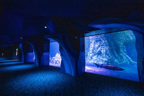 georgia aquarium date opened