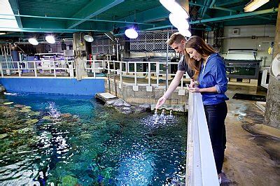 georgia aquarium education programs