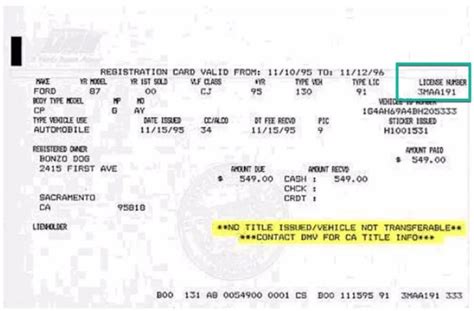 georgia automobile registration renewal