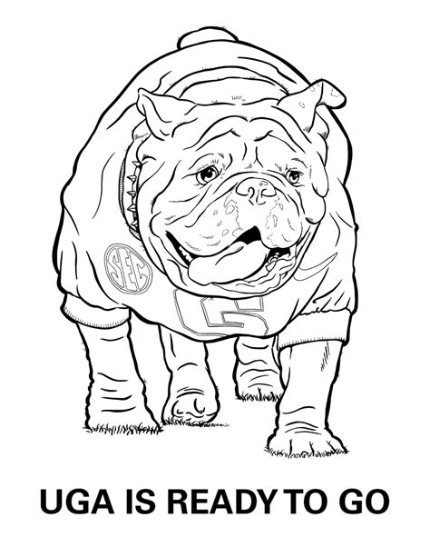 georgia bulldogs mascot coloring page