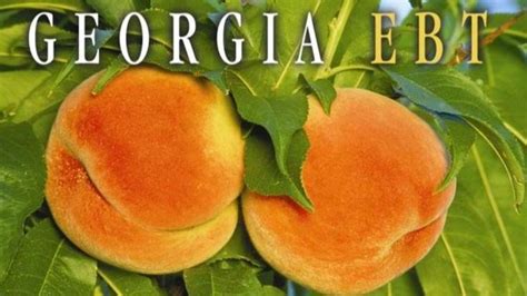 Georgia EBT Card: Benefits, Eligibility, and Application Guide