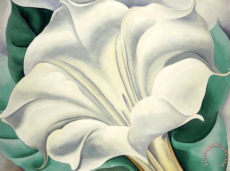 georgia o'keeffe white flower painting