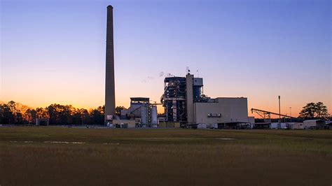 georgia power plant mcintosh