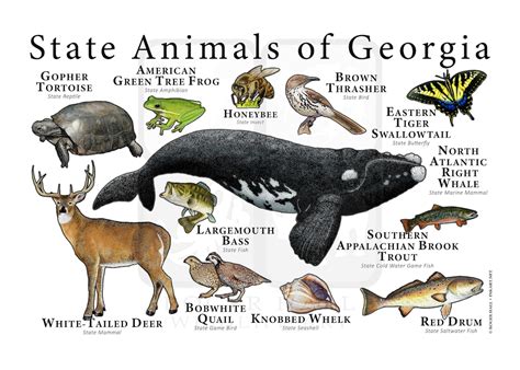 georgia state animals list