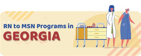 georgia state msn program