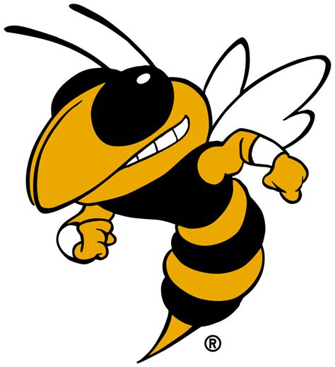 Georgia Tech Yellow Jacket
