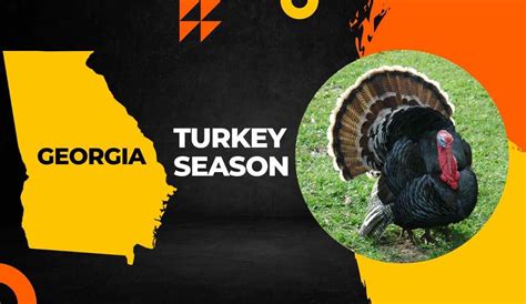 georgia turkey season 2024