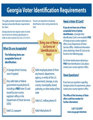 georgia voter identification requirements