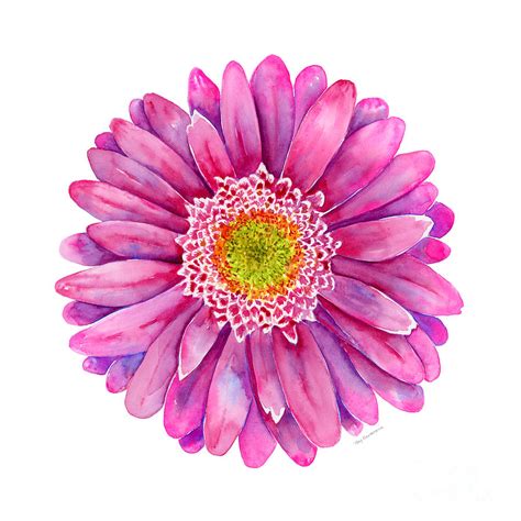 Gerbera Daisy Art